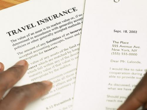 Manufacturers Exporters and Wholesale Suppliers of TRAVEL INSURANCE New Delhi Delhi 